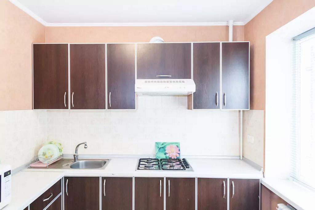 Apartment In Zaporozhye. Antica Zaporizhia Extérieur photo